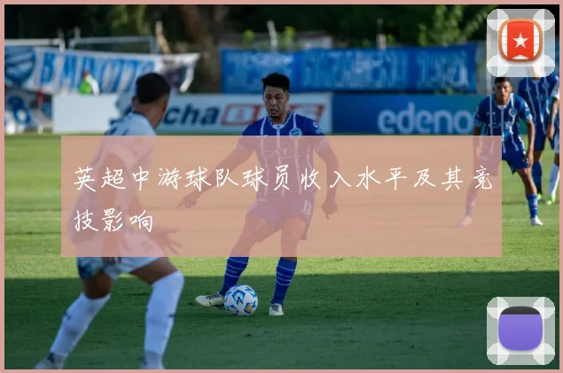 英超中游球队球员收入水平及其竞技影响