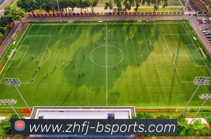 英超与德甲各支球队数量与特点对比分析